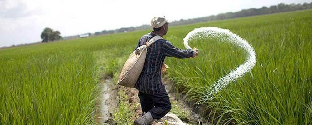 غدیر، اوره ، پتروشیمی، شیراز