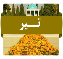 تیر